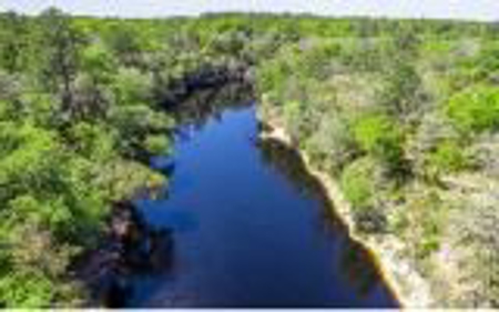 Suwannee River Land For Sale! Jasper Florida! - image 4