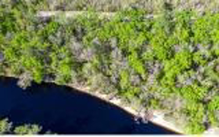 Suwannee River Land For Sale! Jasper Florida! - image 15