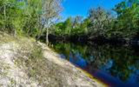 Suwannee River Land For Sale! Jasper Florida! - image 1