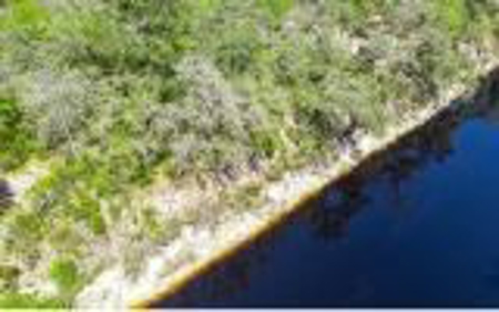 Suwannee River Land For Sale! Jasper Florida! - image 8