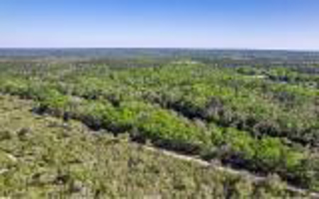 Suwannee River Land For Sale! Jasper Florida! - image 16
