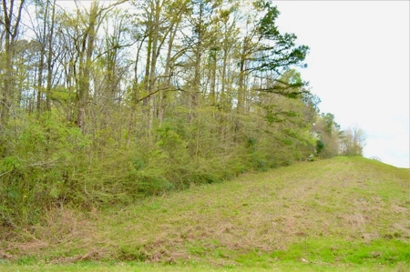 10.35 Acres Rural Land for Sale on Creek Southwest MS - image 1