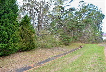 10.35 Acres Rural Land for Sale on Creek Southwest MS - image 3