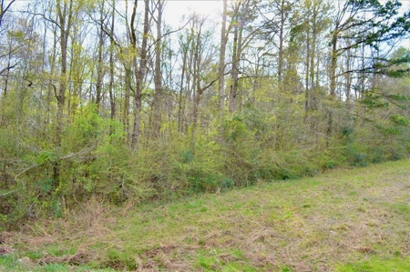 10.35 Acres Rural Land for Sale on Creek Southwest MS - image 2