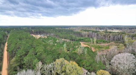38 Acres Recreational Timberland for Sale Lincoln County MS - image 5
