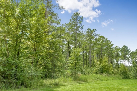 38 Acres Recreational Timberland for Sale Lincoln County MS - image 1