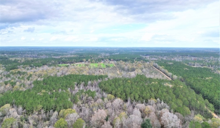 38 Acres Recreational Timberland for Sale Lincoln County MS - image 4
