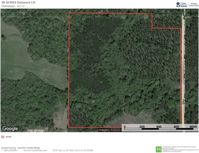 38 Acres Recreational Timberland for Sale Lincoln County MS - image 16