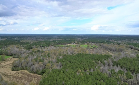 38 Acres Recreational Timberland for Sale Lincoln County MS - image 3