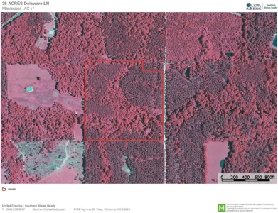 38 Acres Recreational Timberland for Sale Lincoln County MS - image 18