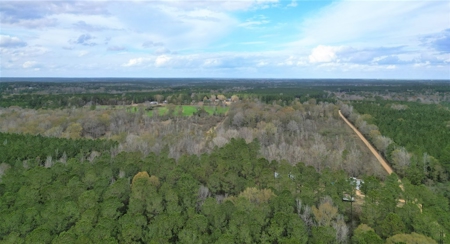 38 Acres Recreational Timberland for Sale Lincoln County MS - image 2