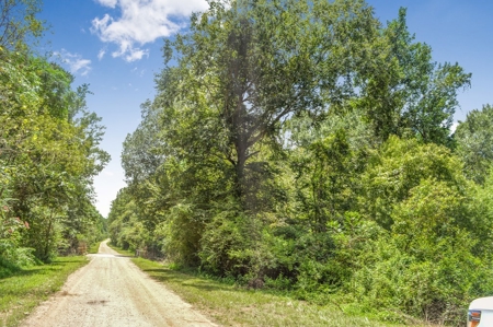 38 Acres Recreational Timberland for Sale Lincoln County MS - image 7