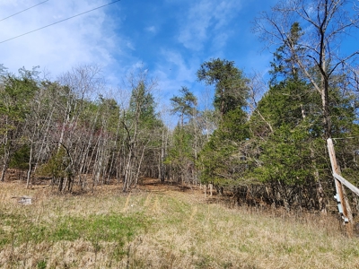 Building Site for Sale in Shawsville VA - image 6
