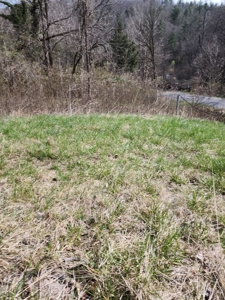 Building Site for Sale in Shawsville VA - image 1