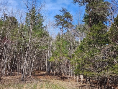 Building Site for Sale in Shawsville VA - image 5