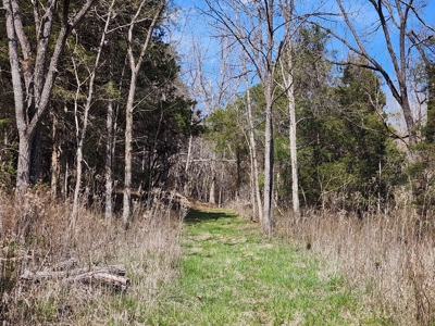 Building Site for Sale in Shawsville VA - image 3