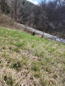 Building Site for Sale in Shawsville VA - image 2