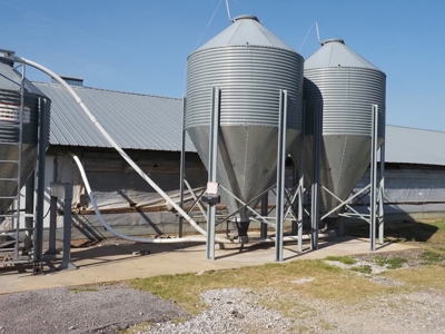 Poultry Breeder Farm 4 house 75 ac with residence - image 11