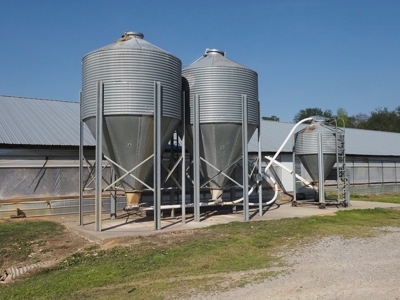 Poultry Breeder Farm 4 house 75 ac with residence - image 8