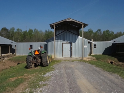 Poultry Breeder Farm 4 house 75 ac with residence - image 15