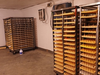 Poultry Breeder Farm 4 house 75 ac with residence - image 27