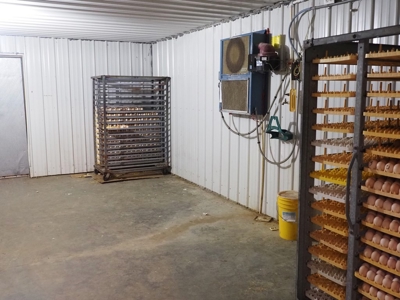 Poultry Breeder Farm 4 house 75 ac with residence - image 30