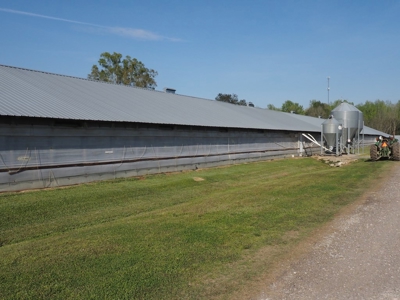 Poultry Breeder Farm 4 house 75 ac with residence - image 16