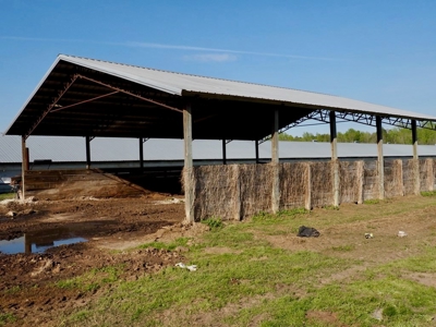 Poultry Breeder Farm 4 house 75 ac with residence - image 39