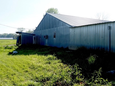 Poultry Breeder Farm 4 house 75 ac with residence - image 34