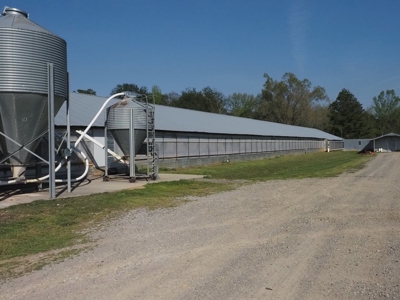 Poultry Breeder Farm 4 house 75 ac with residence - image 7