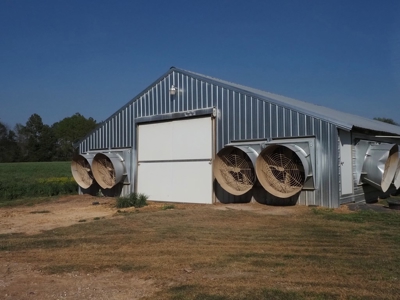 Poultry Breeder Farm 4 house 75 ac with residence - image 3