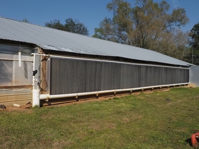 Poultry Breeder Farm 4 house 75 ac with residence - image 6