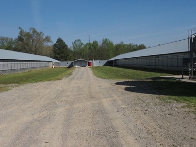 Poultry Breeder Farm 4 house 75 ac with residence - image 10