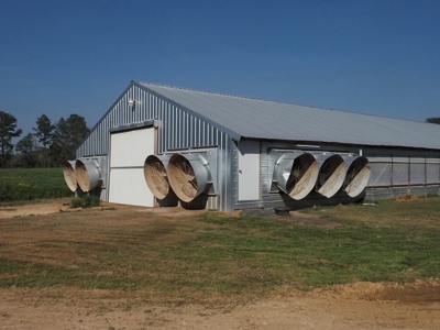 Poultry Breeder Farm 4 house 75 ac with residence - image 2