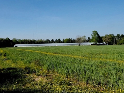 Poultry Breeder Farm 4 house 75 ac with residence - image 42