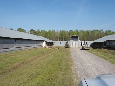 Poultry Breeder Farm 4 house 75 ac with residence - image 13