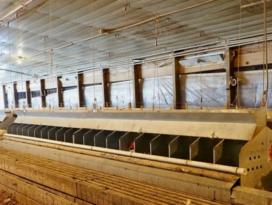 Poultry Breeder Farm 4 house 75 ac with residence - image 22