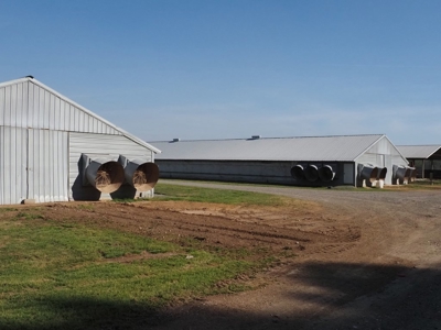 Poultry Breeder Farm 4 house 75 ac with residence - image 12