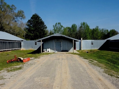Poultry Breeder Farm 4 house 75 ac with residence - image 4