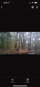 20 Acre Poteau Mountain Off-Grid Cabin - Mountain Views - image 32