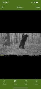 20 Acre Poteau Mountain Off-Grid Cabin - Mountain Views - image 30