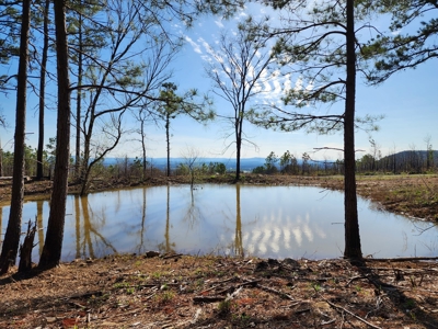 20 Acre Poteau Mountain Off-Grid Cabin - Mountain Views - image 16