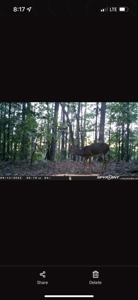 20 Acre Poteau Mountain Off-Grid Cabin - Mountain Views - image 33