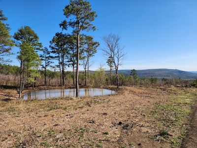 20 Acre Poteau Mountain Off-Grid Cabin - Mountain Views - image 18