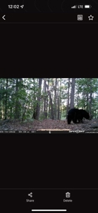 20 Acre Poteau Mountain Off-Grid Cabin - Mountain Views - image 31