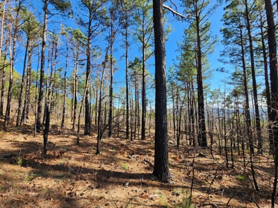 20 Acre Poteau Mountain Off-Grid Cabin - Mountain Views - image 15