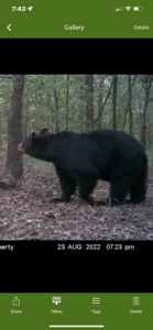 20 Acre Poteau Mountain Off-Grid Cabin - Mountain Views - image 29