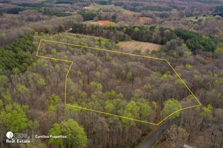 Timberland for Sale in Surry County NC - image 7