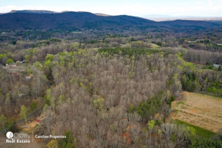 Timberland for Sale in Surry County NC - image 5
