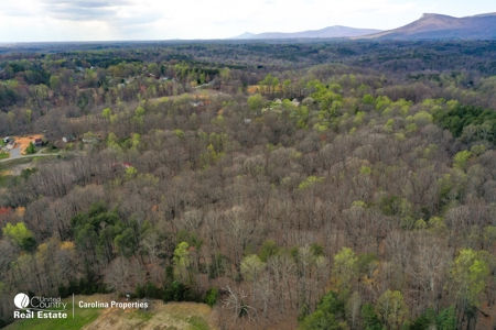 Timberland for Sale in Surry County NC - image 9